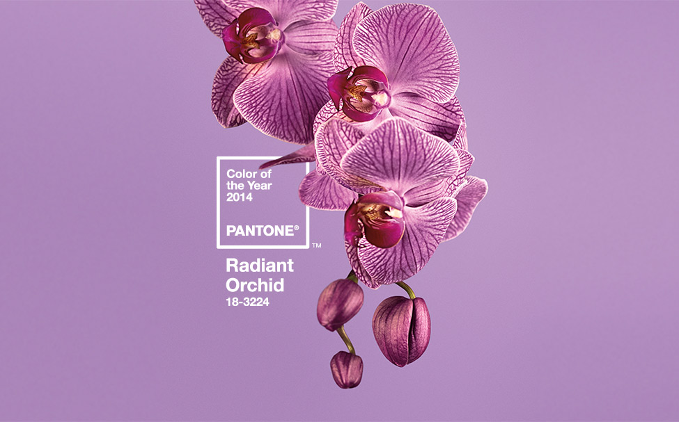 Pantone Color of the Year - Radiant Orchid.jpg